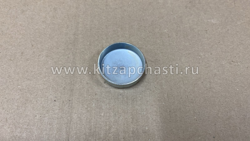 ЗАГЛУШКА БЛОКА ЦИЛИНДРОВ 40MM Geely Otaka E020300901